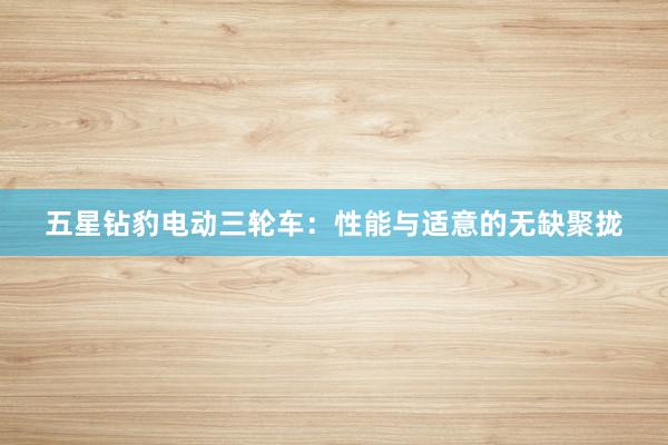 五星钻豹电动三轮车：性能与适意的无缺聚拢