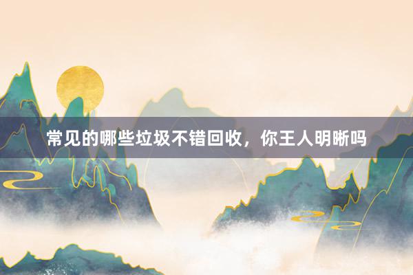 常见的哪些垃圾不错回收，你王人明晰吗