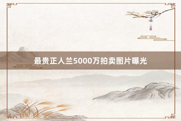 最贵正人兰5000万拍卖图片曝光