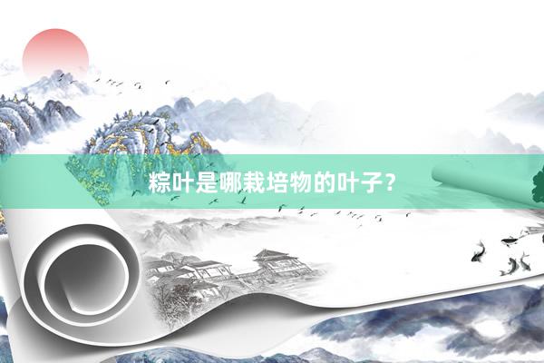 粽叶是哪栽培物的叶子？