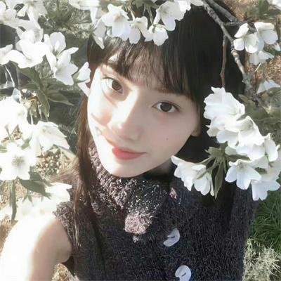 未解之谜第五季